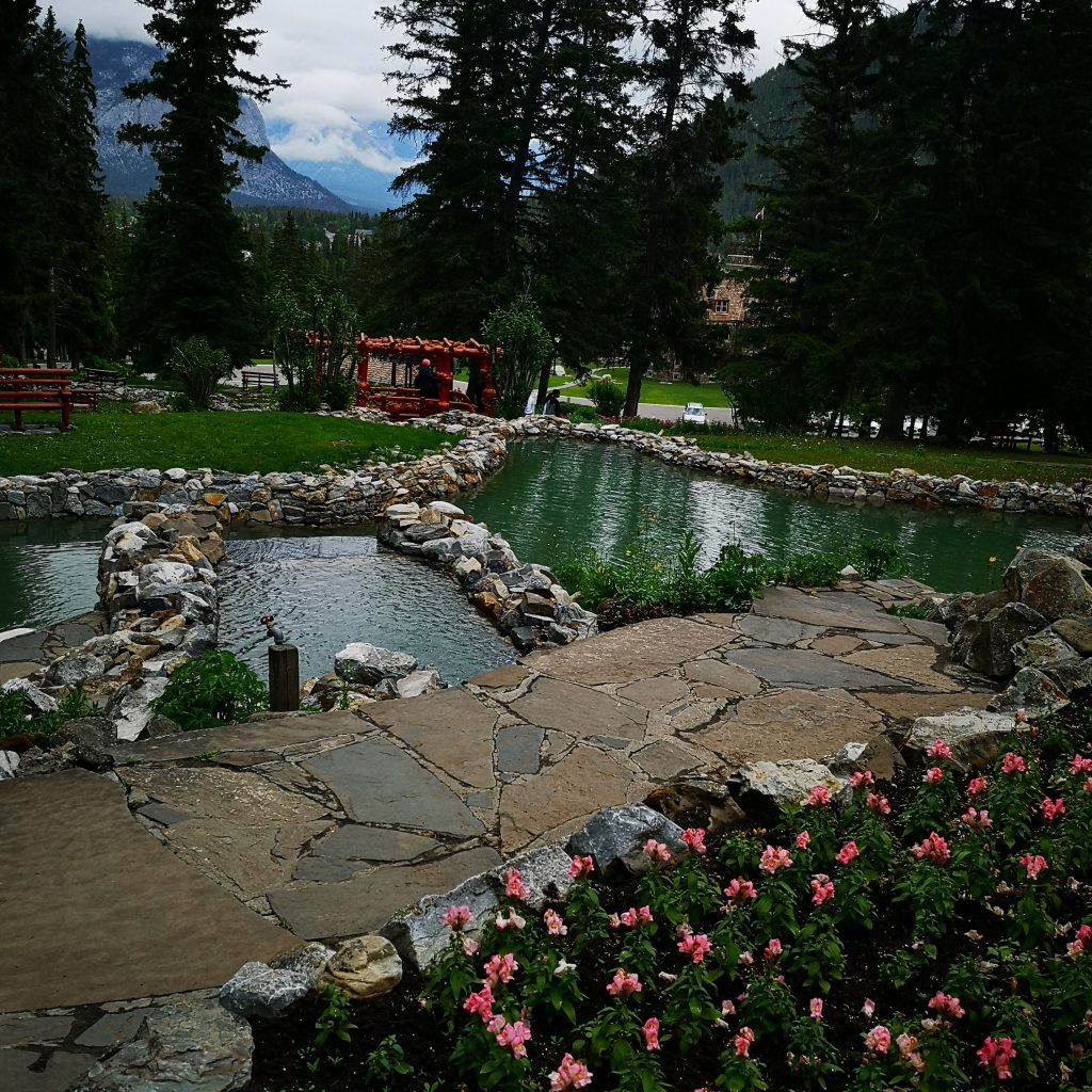IMG_20220704_115813